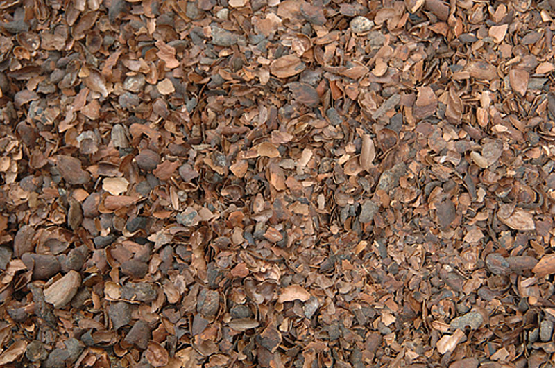 Cocoa Shell Mulch